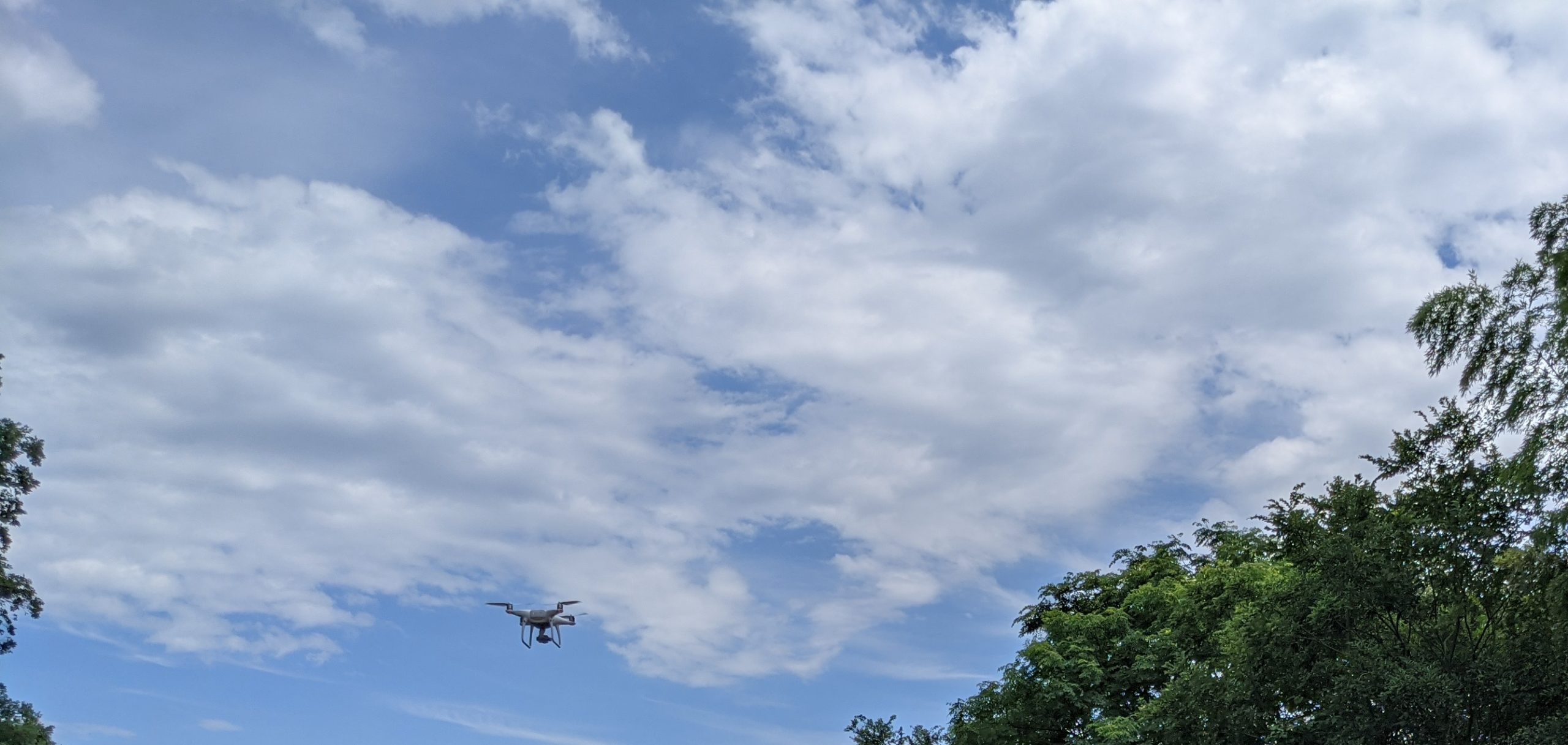 お疲れさまです。