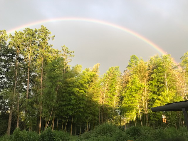 綺麗な虹見つけました