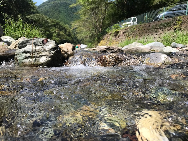 きれいな川見つけました